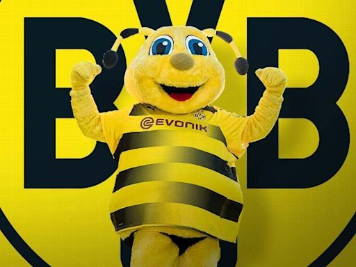 Borussia Dortmund: orígenes, significado del BVB, colores y mascota