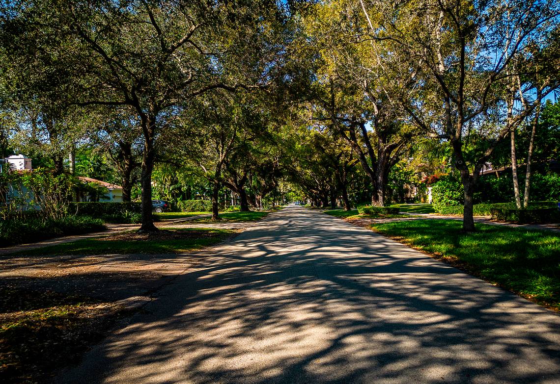 Trees may be new measure of privilege in Miami-Dade. It’s easy to spot the have-nots | Opinion