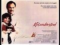 Misunderstood (1984)