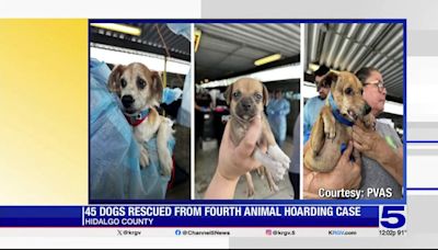 Palm Valley Animal Society receives 45 dogs in latest hoarding case