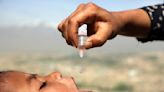 Polio in US, UK and Israel reveals rare risk of oral vaccine