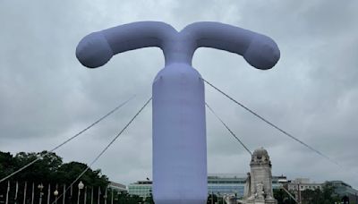 "Most Men Recognize It": People Are Reacting To A Giant IUD That's Just Been Inserted In Washington, DC