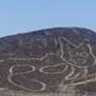 NAZCA LINES Giant