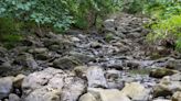 Shenandoah National Park's streams and rivers are closed to fishing due to drought, high water temp