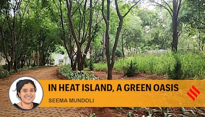 Rising temperatures and cities as ‘heat islands’: Another reason for Bengaluru to make its parks more open, accessible
