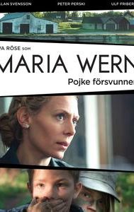 Maria Wern: Pojke försvunnen