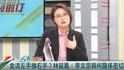 木可公關金流詭？民眾黨嗆如實申報！林延鳳：柯演唱會收入有報？