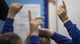 Government’s investment in new special schools ‘may be too little too late’