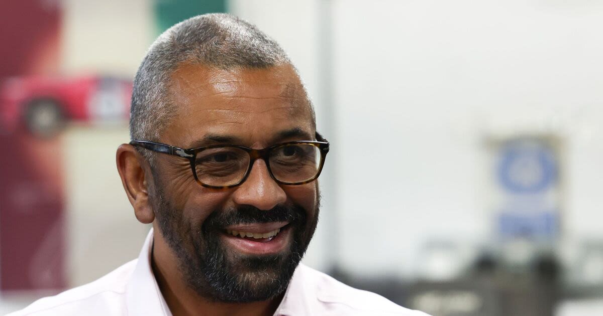 James Cleverly is the leader that can 'truly hold Labour to account'