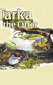 Tarka the Otter