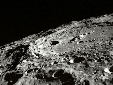 The Moon's Craters Are Cold Enough To Store Samples of Earth's Biodiversity, Say Scientists