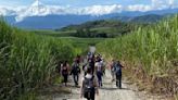 Caminata en las montañas de Cartago incluye almuerzo y hacer nuevos amigos