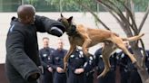 L.A. City Council refuses donation of K-9s over training firm's name