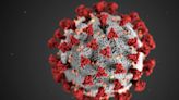 Científicos en alerta por una nueva cepa del virus del mono: "Tiene una mortalidad mayor"
