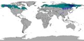 Subarctic climate