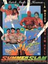 SummerSlam 1991