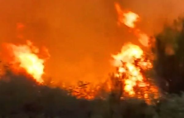 Firefighters battle to contain raging wildfire in Arizona