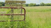 Shareholders consider legal action against Angelic Organics Farm after sudden closure