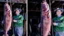 Missouri Man Catches Likely World-Record Carp, Turns It into Fertilizer
