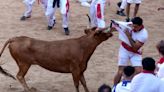 Stiertreiben in Pamplona beginnt mit "Chupinazo"-Böller und ersten Verletzten