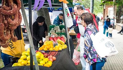 La Feria en tu Barrio estuvo en Escuela Hogar | apfdigital.com.ar