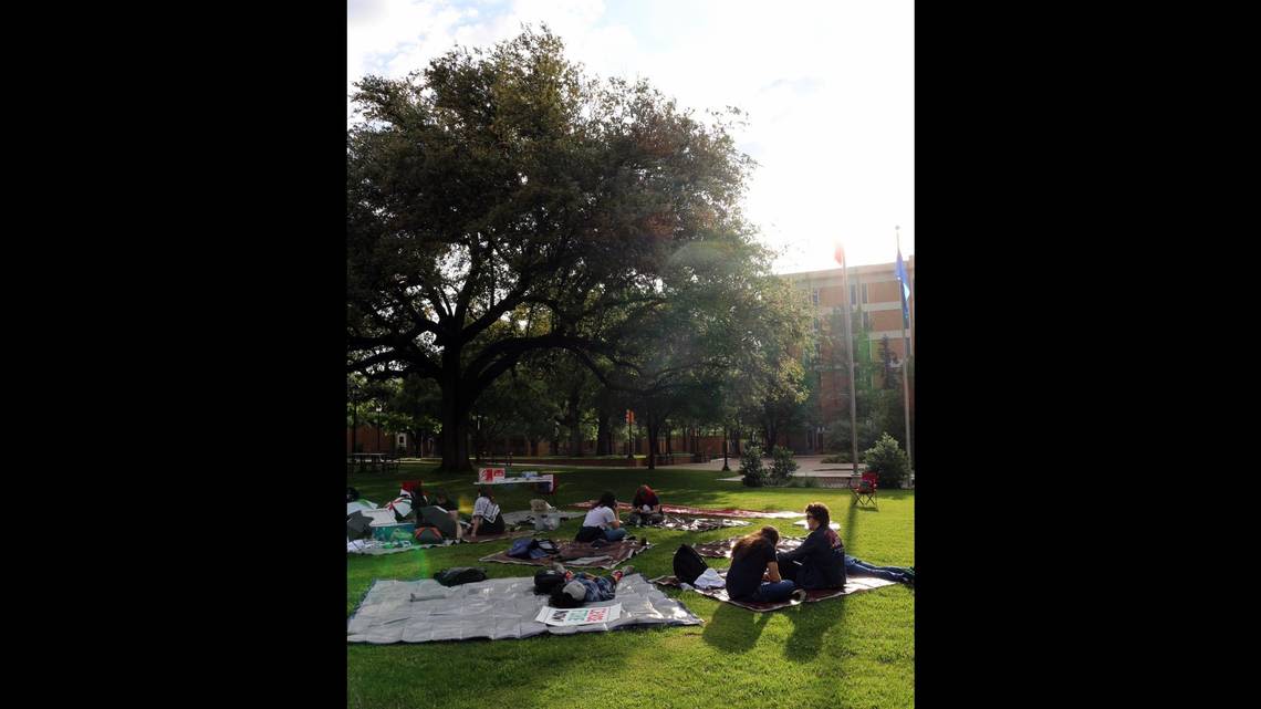 UTA lecturer arrested putting up tent at pro-Palestine student encampment, police say