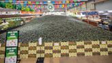 43 tons of avocado: Texas market sets World Record with massive fruit display