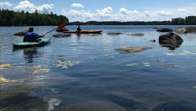 Lawmakers gut bill aimed at protecting Maine lakes