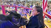 Admission tickets to the Ventura County Fair to go up for this year's event