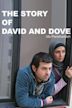 The Story of Davood and the Dove