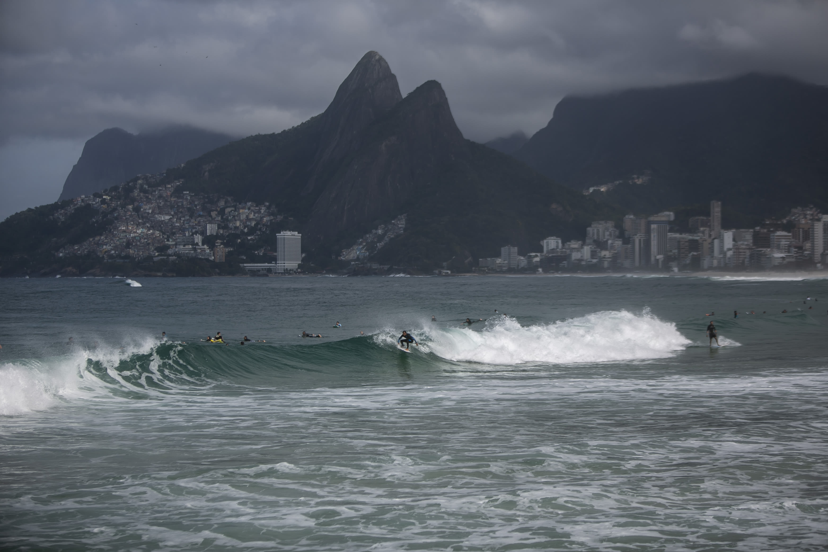 Sharks test positive for cocaine in Brazil’s drug-polluted waters