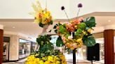 'Fleurs de Villes ARTISTE' blooms at South Coast Plaza