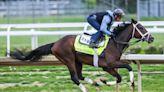 Kentucky Derby post positions are set. See who's favored, odds at Churchill Downs