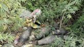 Mortar shells from 1971 Indo-Pak war era found in Tripura