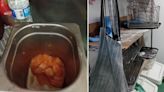 Grim takeaway of grease, mould and warm raw chicken – inspector' 'gobsmacked'