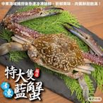 【海陸管家】活凍特大隻藍花蟹8隻(每隻400-450g)