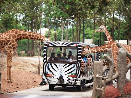 受惠泰國免簽 清邁旅遊人氣飆升！旅遊體驗線上平台推「天燈節」等多項限定優惠 | 蕃新聞