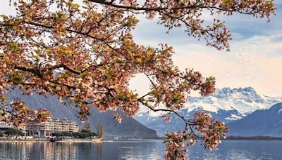 Montreux Riviera, la primavera mediterránea en Suiza que enamoró a Chaplin y a Freddy Mercury