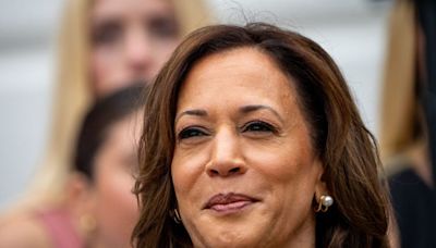 Who Kamala Harris picks for her running mate will show where her campaign sees its path to victory