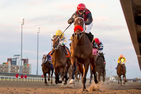 Babbo, Witwatersrand Headline 3YO Woodbine Contests