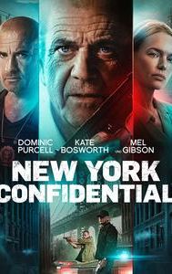 Confidential Informant (film)