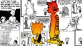 10 Calvin and Hobbes Jokes We Only Got As Adults