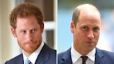 Prince Harry Calls Prince William’s Baldness ‘Alarming’ and ‘Advanced’: His Resemblance to Mom Diana Is ‘Fading’