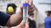 Con la ayuda del frío, Tucumán lleva 10 días sin casos registrados de dengue
