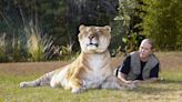 ‘Tiger King’ star Doc Antle is trying to sell his wildlife park. A judge will decide if he can.