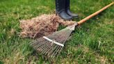 Dethatching vs. aerating: Which is best for my lawn?