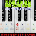 鋼琴五線譜簡譜自學貼紙彩色音名唱名大小字組新手初學者電子琴膜