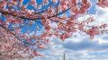 5 things to know about the spring weather forecast in the US