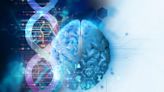 Scientists identify gene linked to developmental disorders