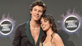 Camila Cabello and Shawn Mendes Sat Together at the Copa America Final